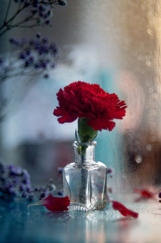 Photograph by Анастасия