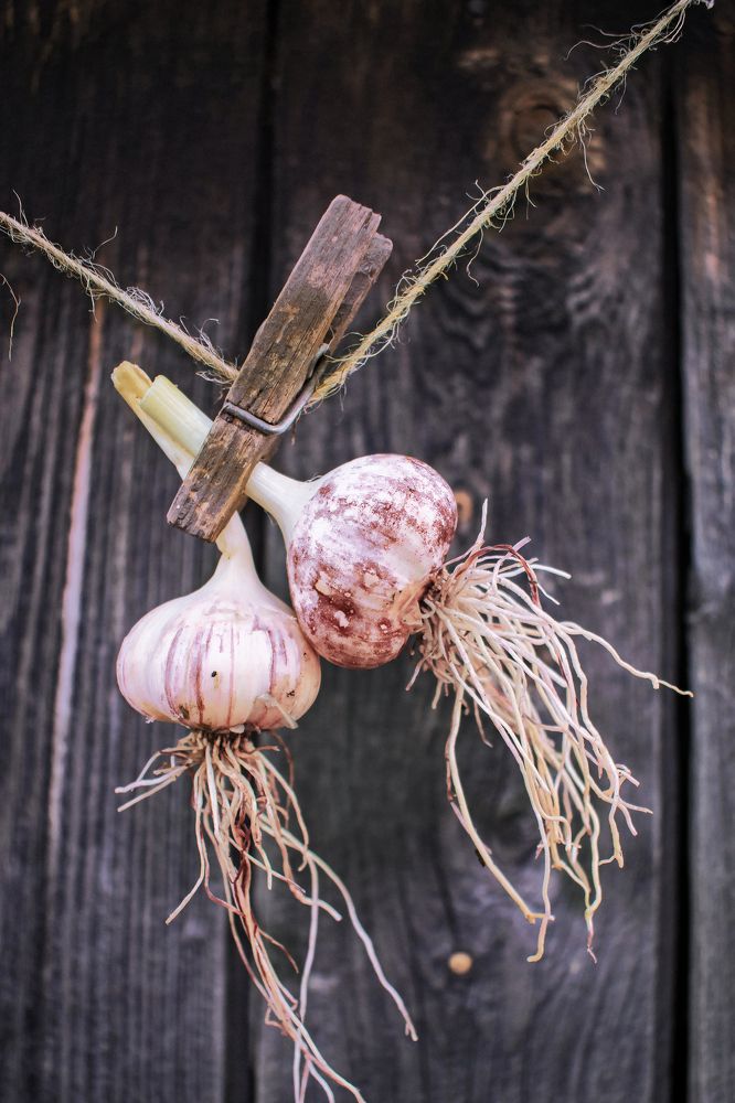 Photograph by Альфия Агзами