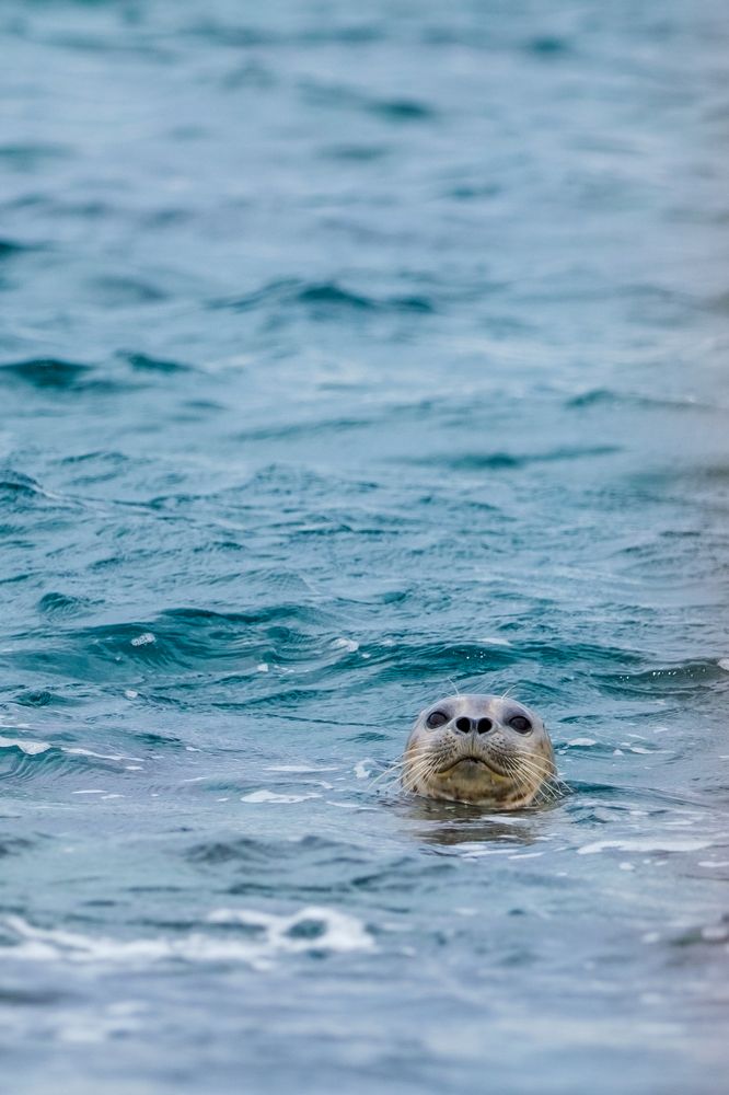 Photograph by Денис Вавилов