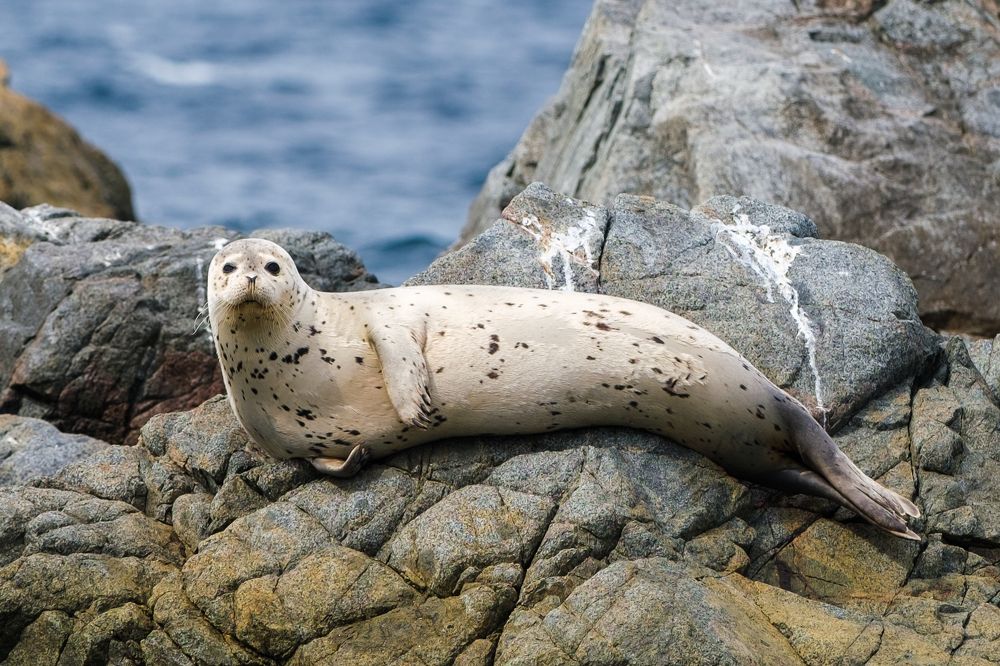 Photograph by Денис Вавилов