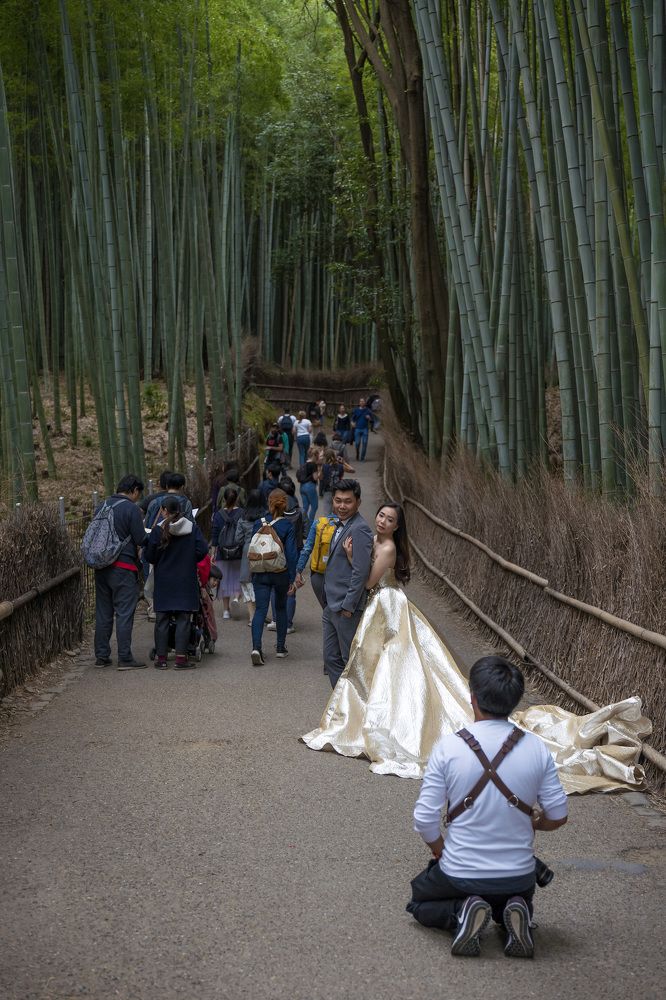 Photograph by Александр Журавлев