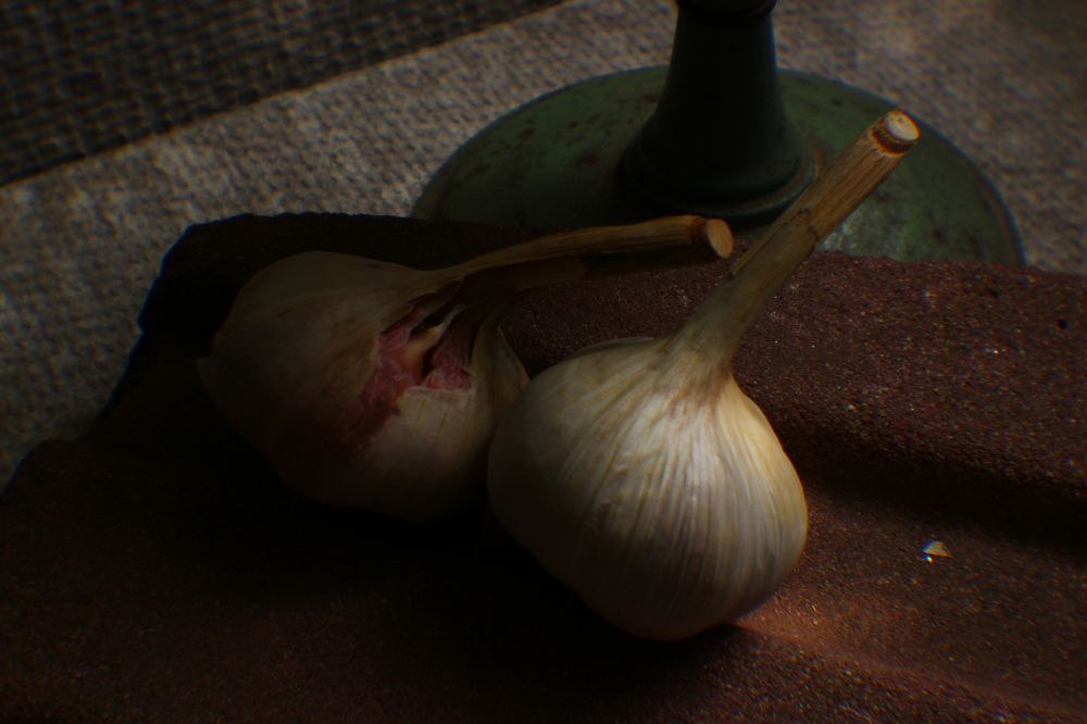 Photograph by Jamilya Tapaskhanova