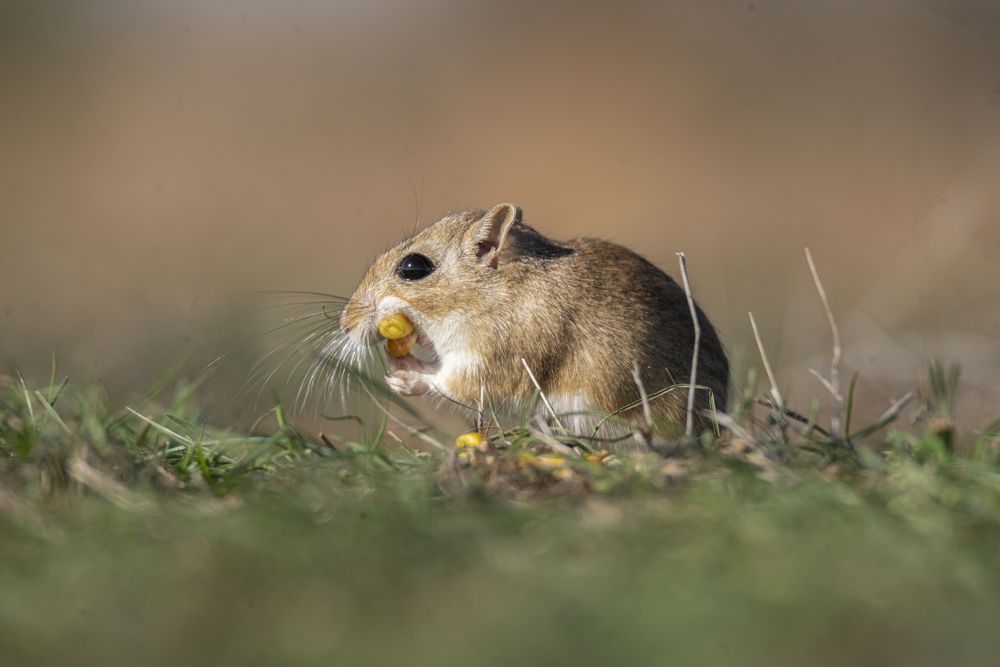 Photograph by Артем Шумов