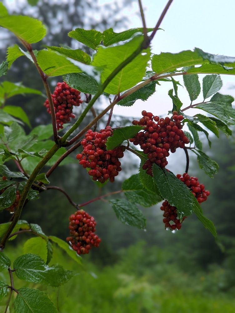 Photograph by Filip Viktoriya