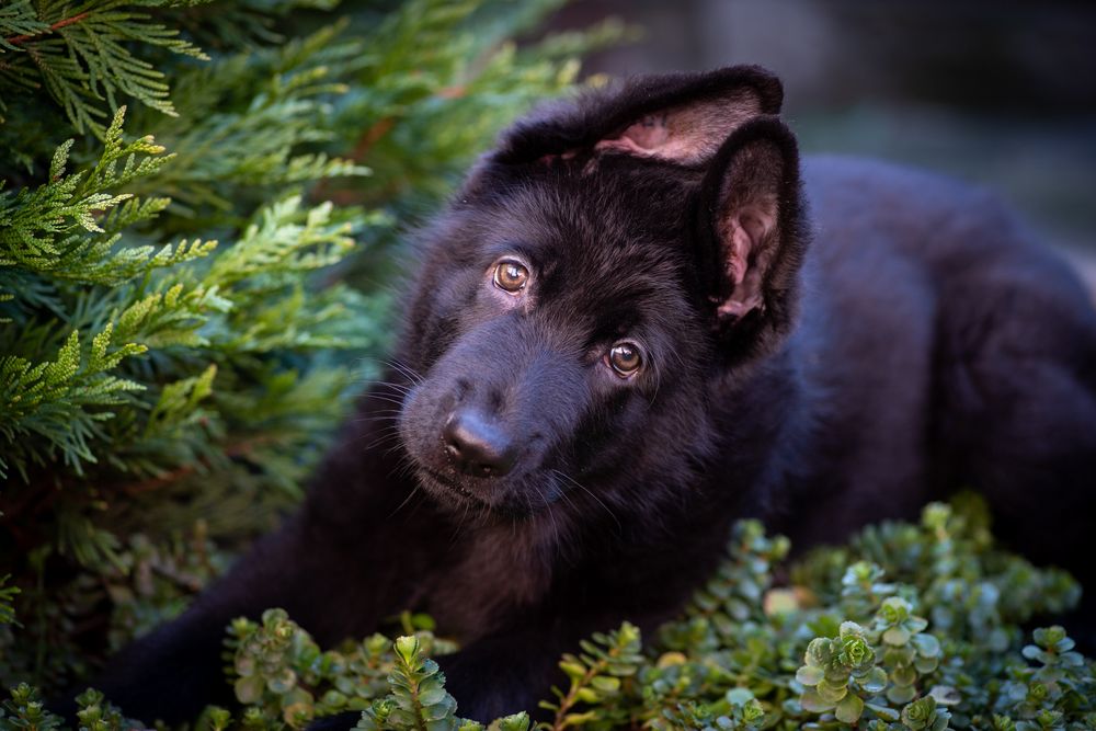 Photograph by Анна Иванова