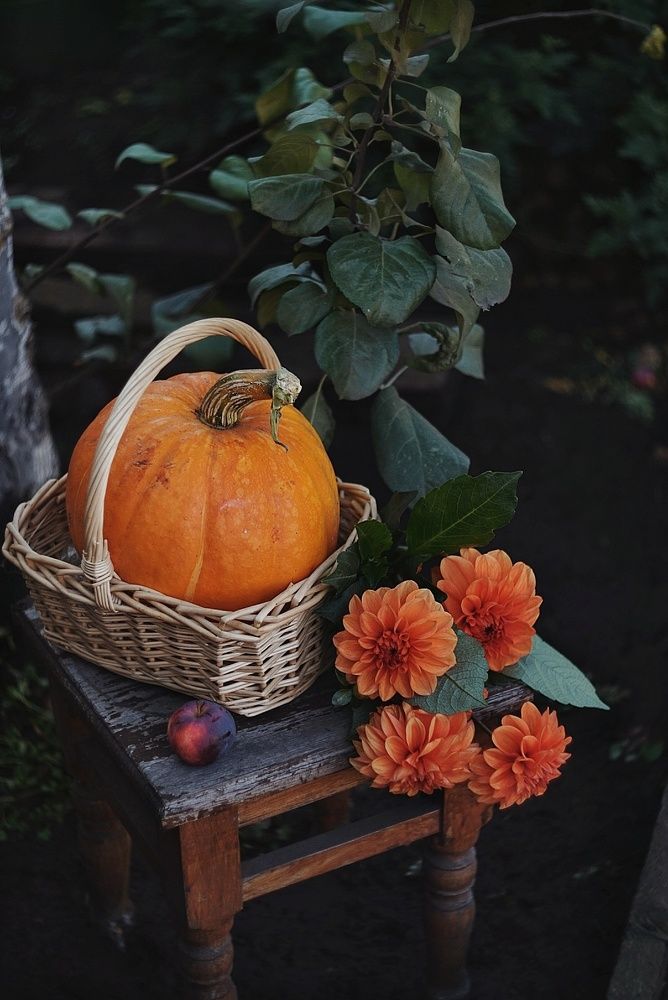 Photograph by Наталья Шленкина