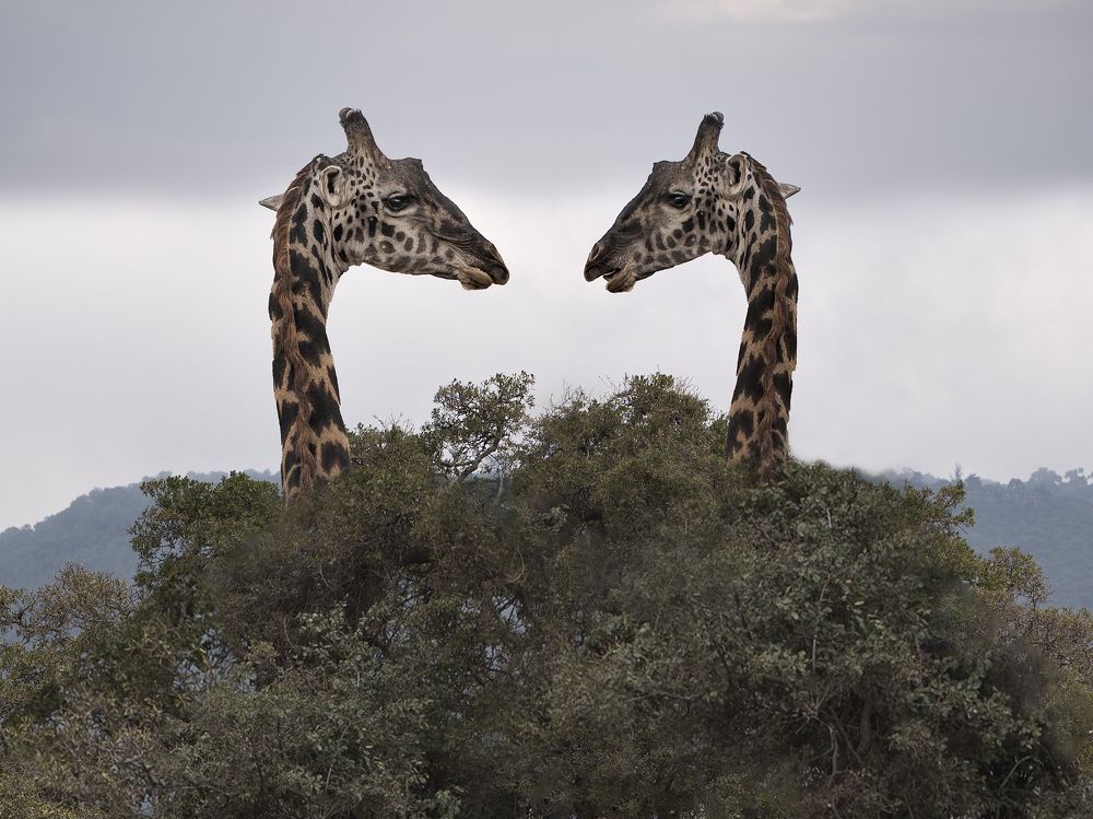 Photograph by Ana Lozano