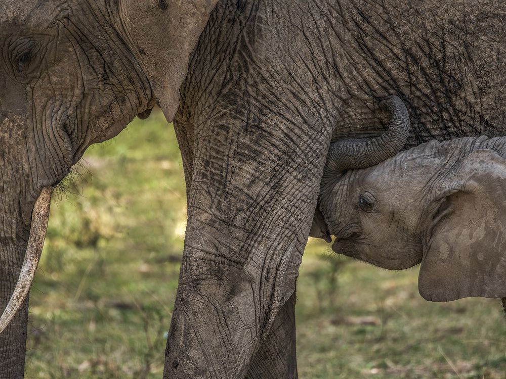 Photograph by Ana Lozano