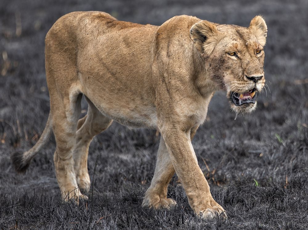 Photograph by Ana Lozano