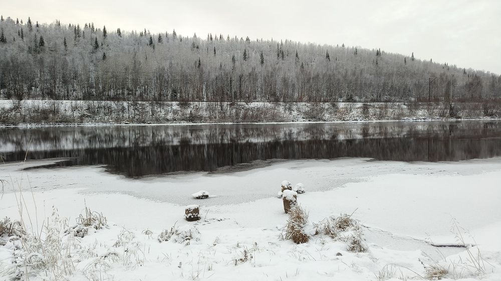 bank of the river