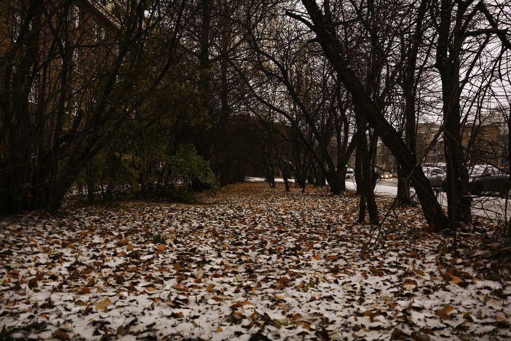 Photograph by Ruslan Sevastyanov