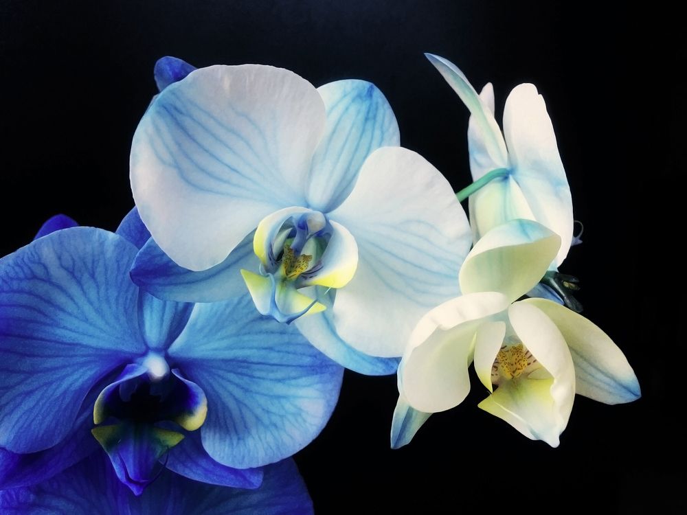 Photograph by Jasna Dragun