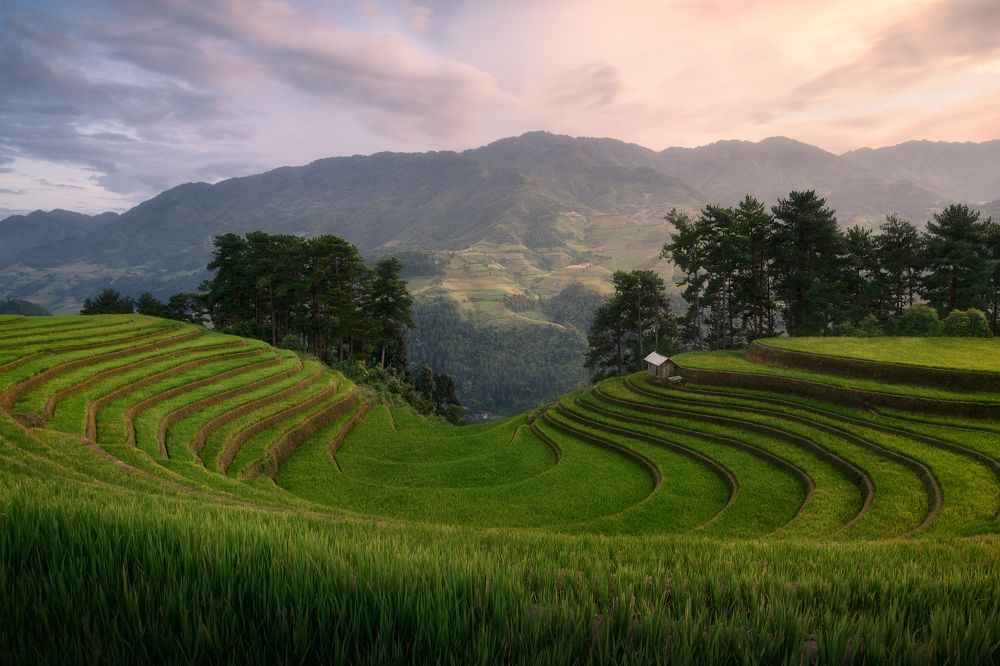 Photograph by Эрнест Вахеди