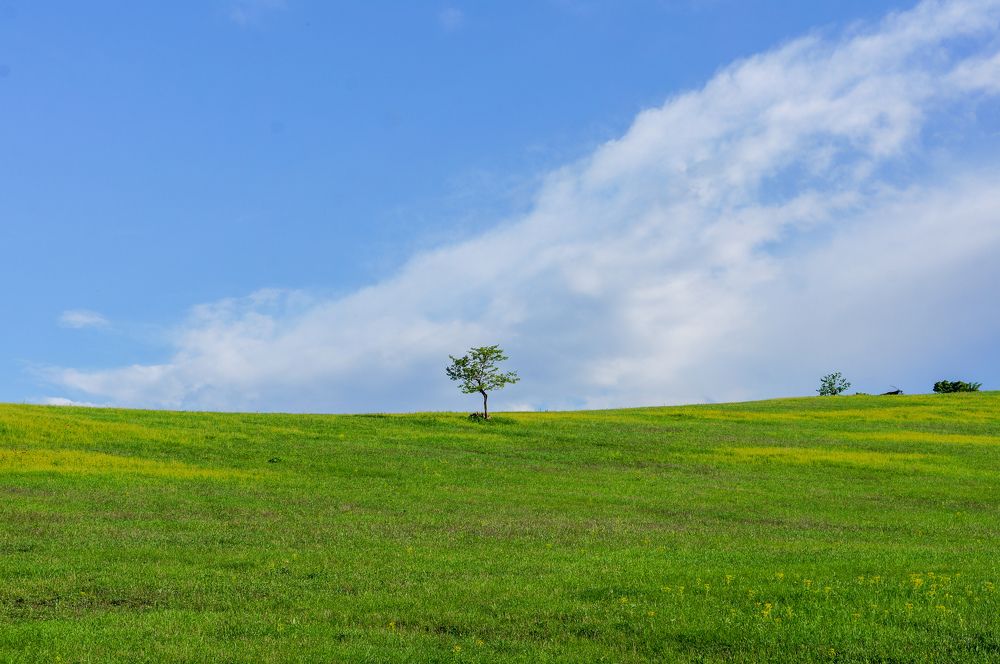 Photograph by Евгения Безматерных