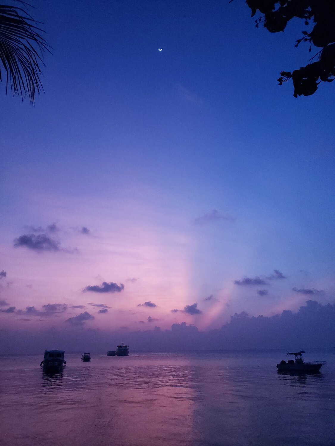 Photo #9860135
