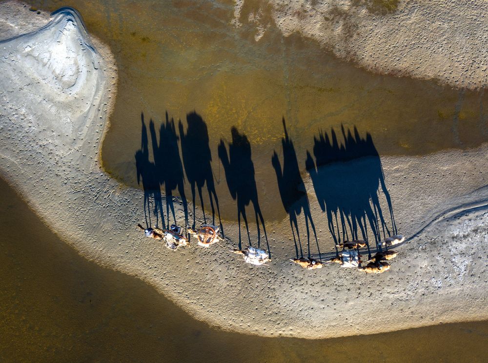 On the migration path