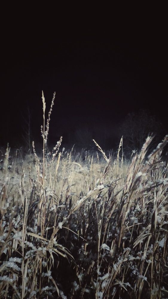 Photograph by Наталья Калюнова