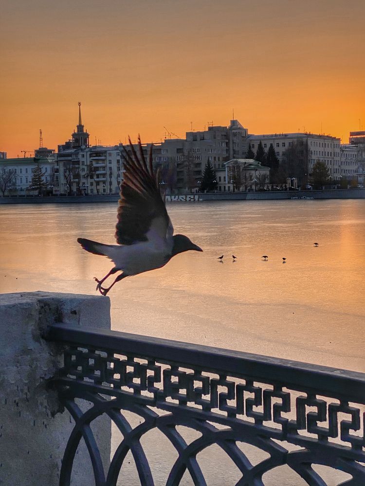 Photograph by Юлия Субботина