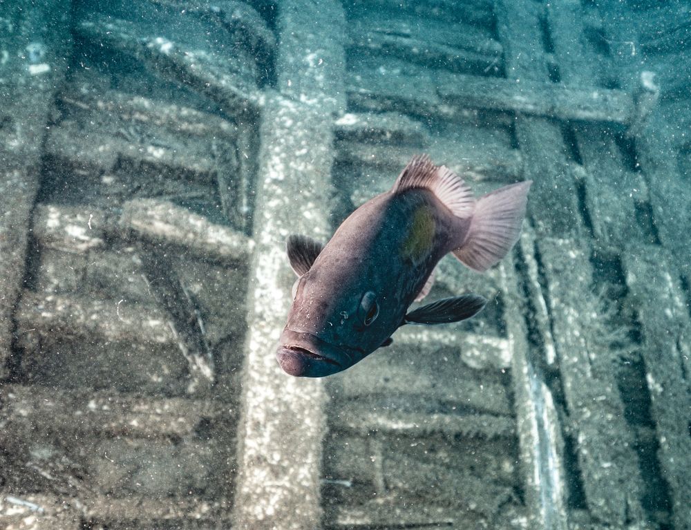 Photograph by Дмитрий Плотников