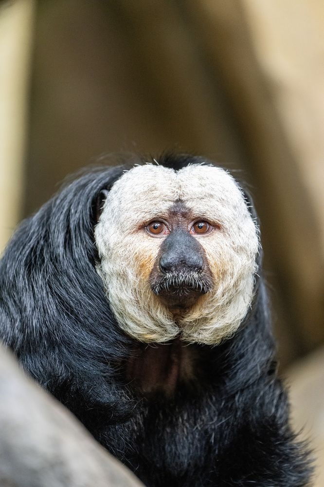 Фотография автора Ruslan Badykov