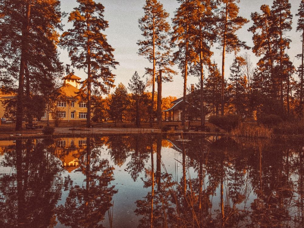 Photograph by Виктория Селютина