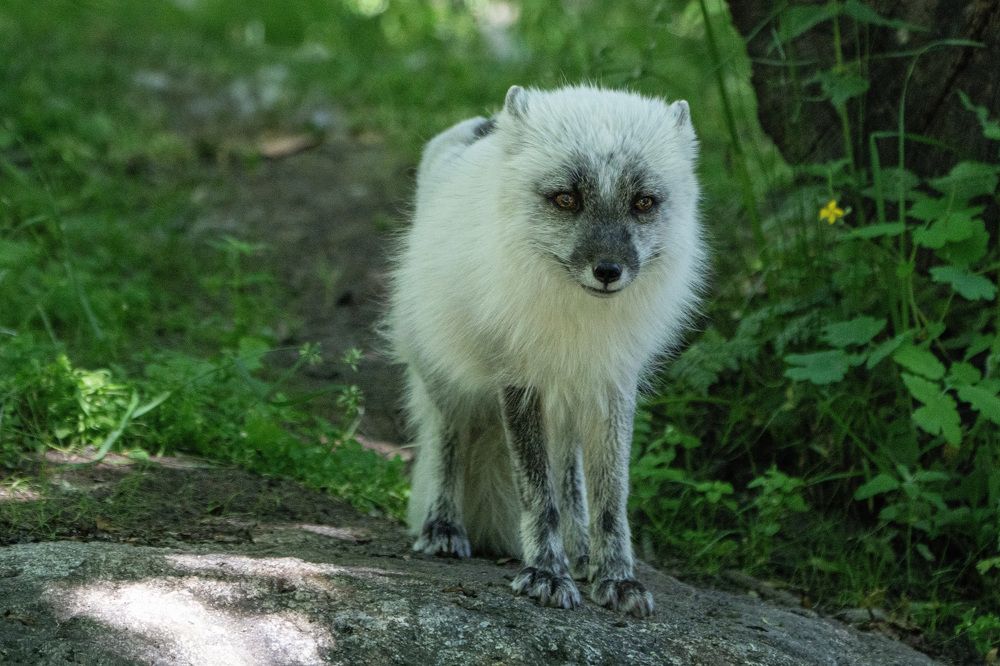 Фотография автора Ruslan Badykov