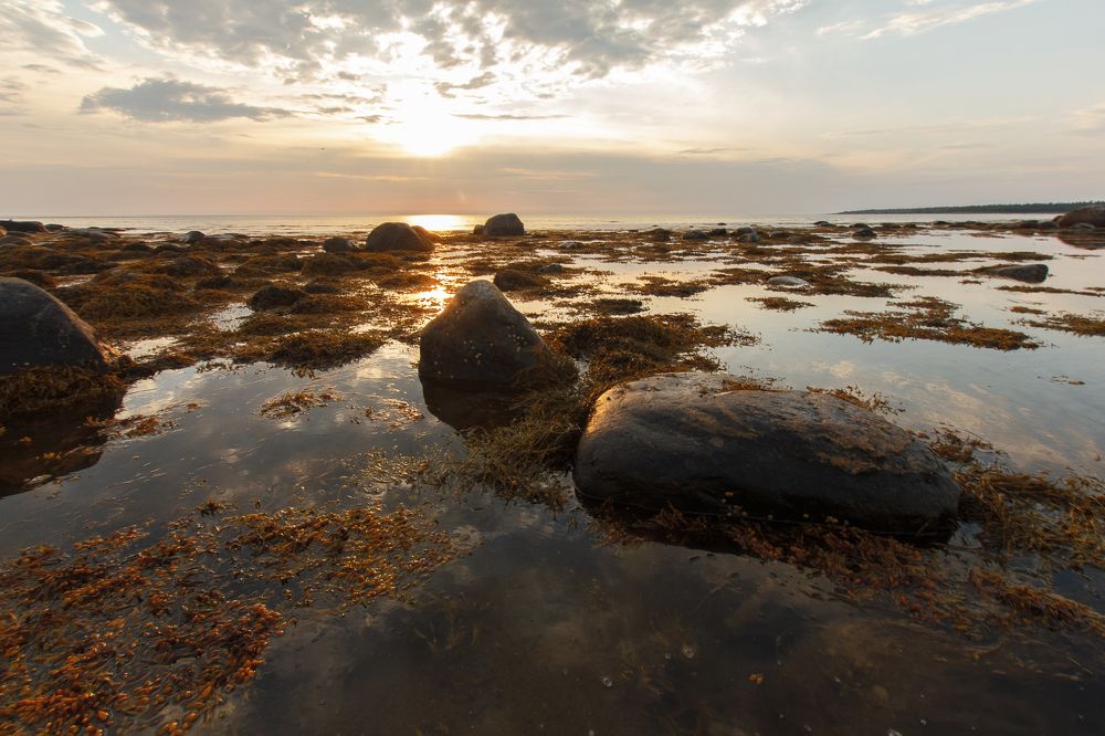 Закат на Белом море