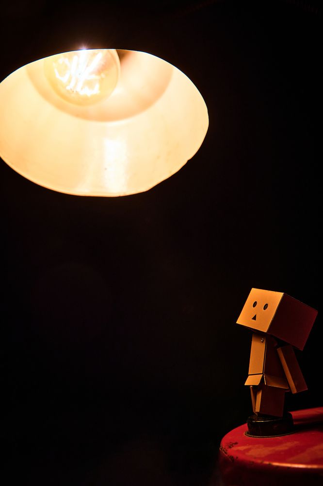 Фотография автора Александр Жданов