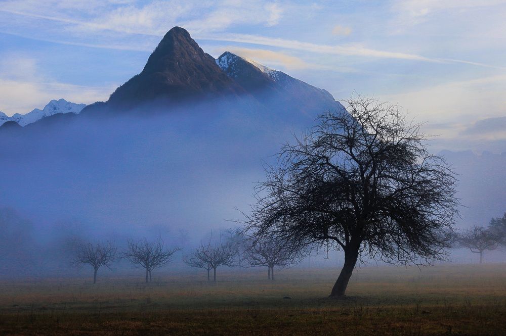 Photograph by JANJA GABERSCEK