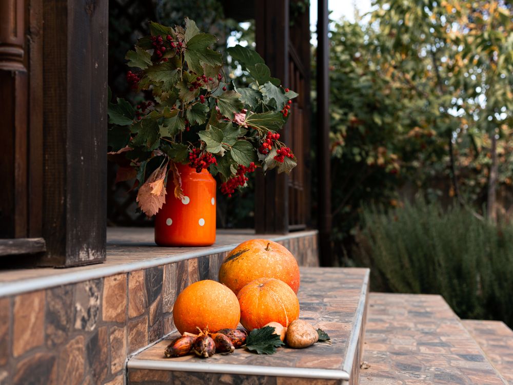 Photograph by Анастасия Соболевская