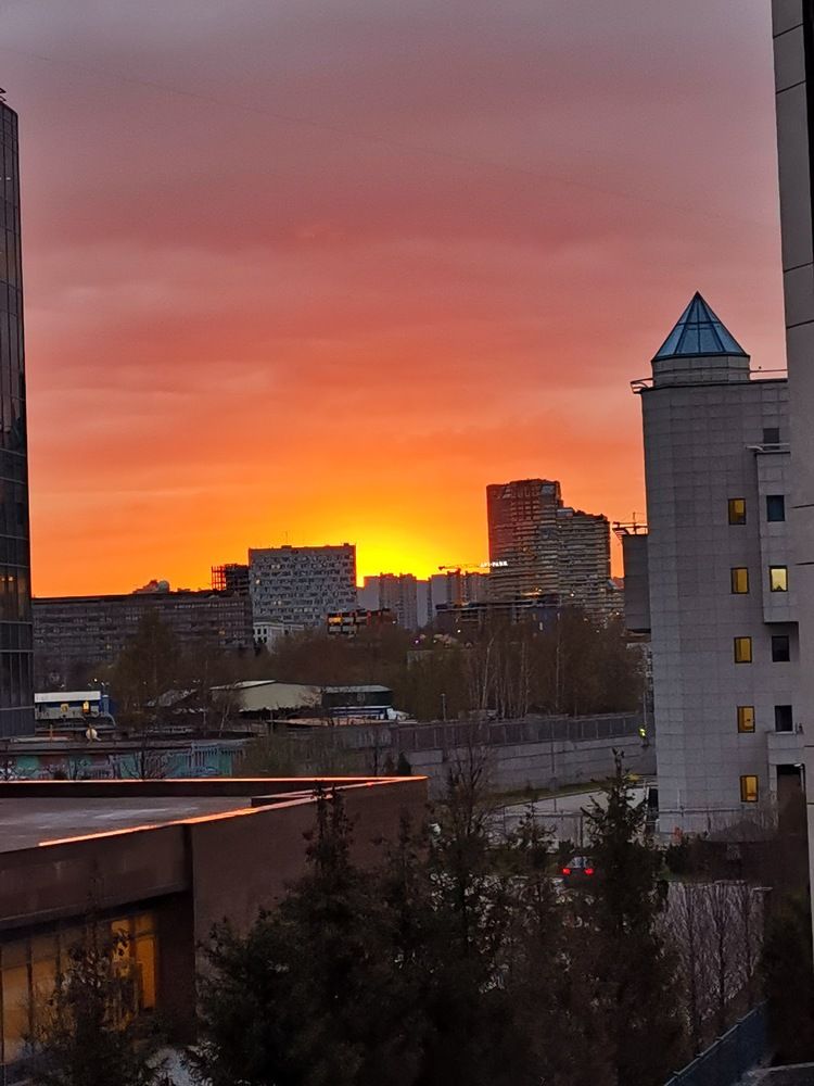 Макушку солнце показало... Ну всё Я спать-, зевнув сказало.