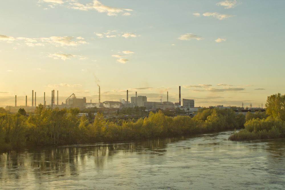 Фотография автора Дарья Рогозина