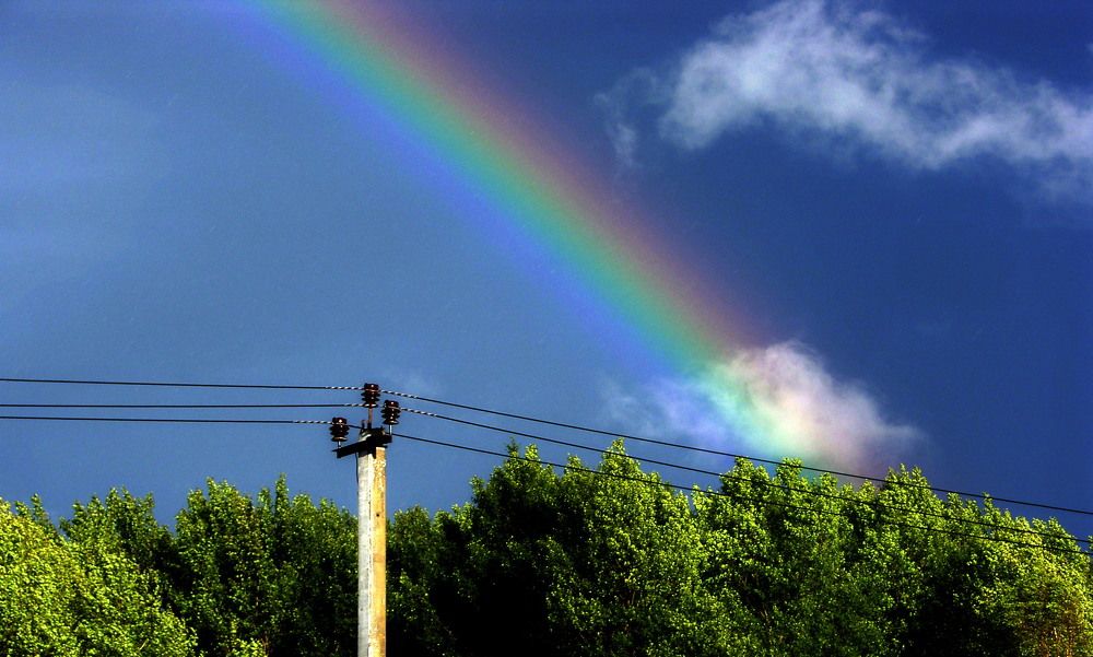 Photograph by Владимир Еремин