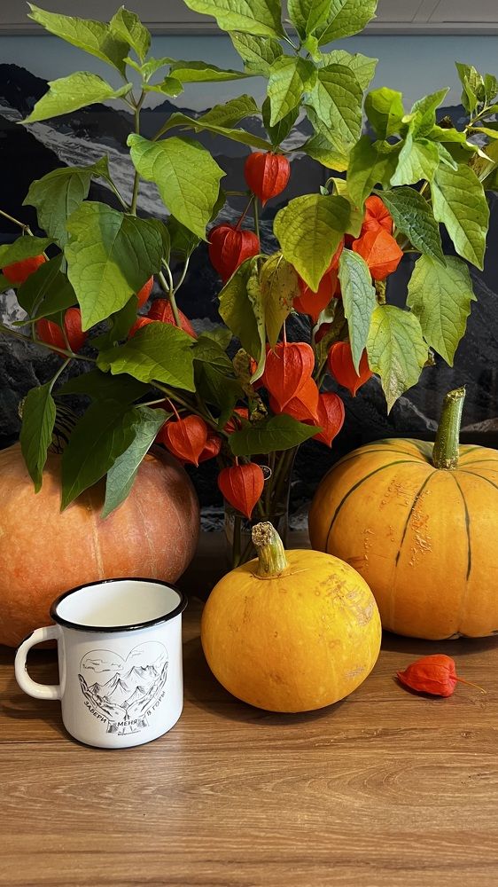 Фотография автора Юлия Недосекина