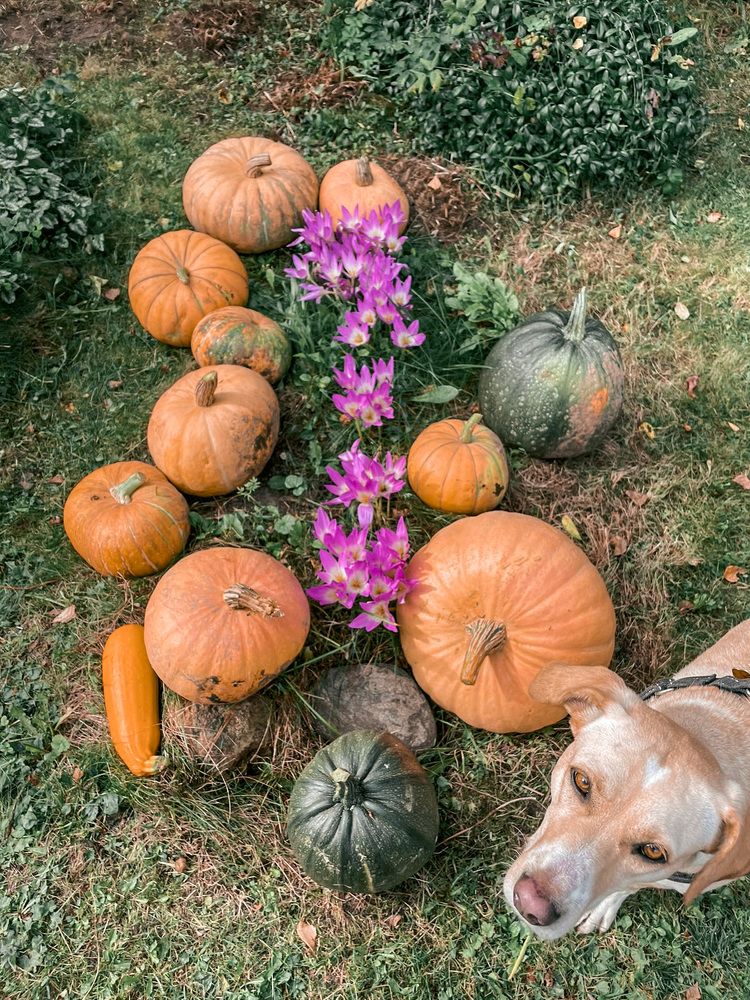 Фотография автора Юлия Недосекина