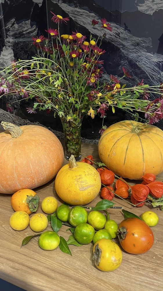 Фотография автора Юлия Недосекина