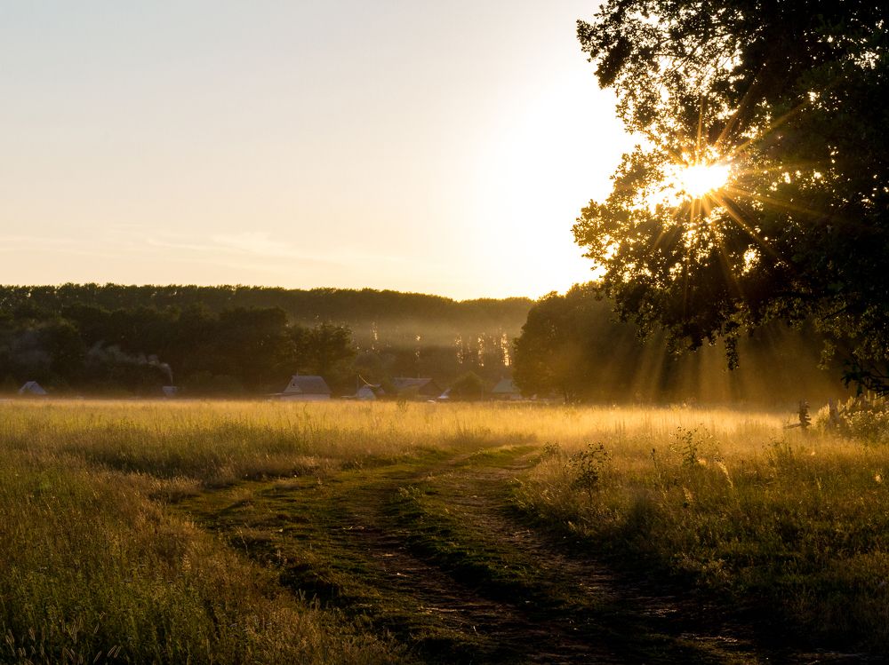 Лето - это маленькая жизнь