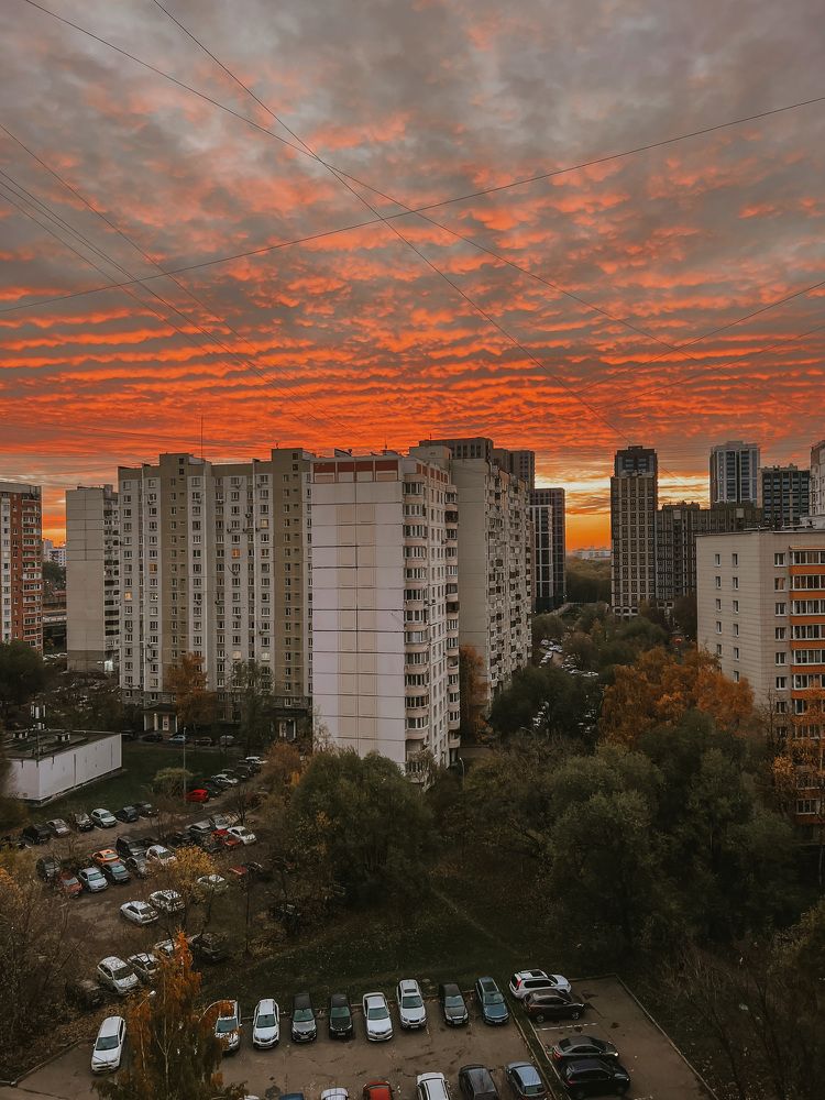 Фотография автора Юлия Недосекина