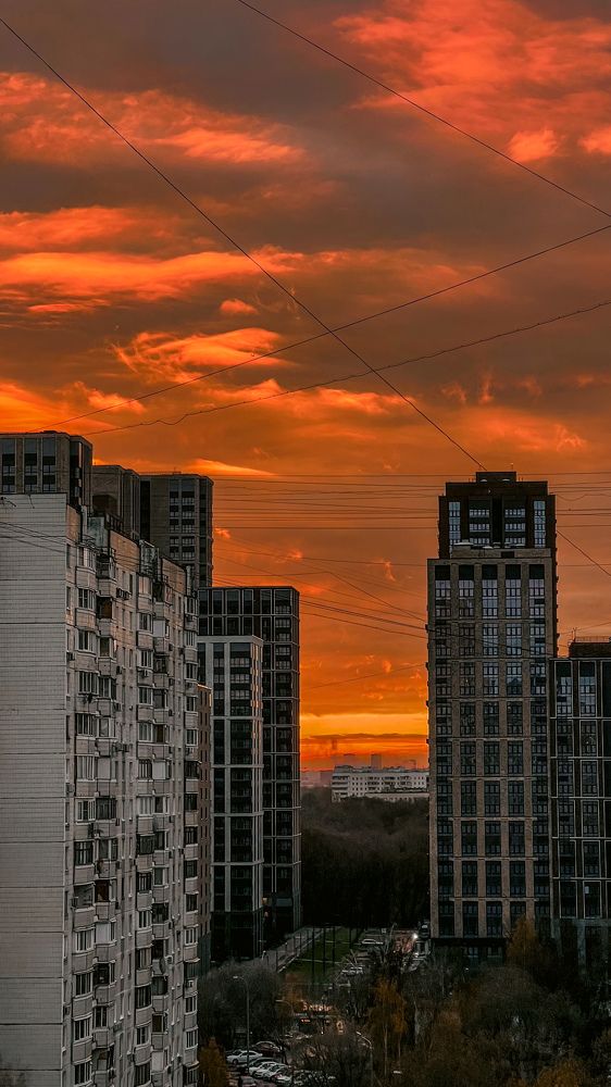 Фотография автора Юлия Недосекина