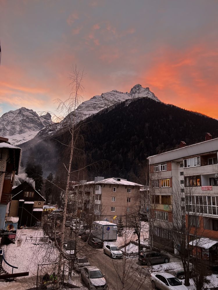 Фотография автора Юлия Недосекина