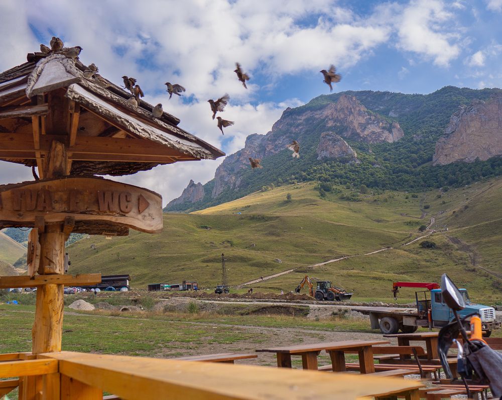 Photograph by Larisa Usova