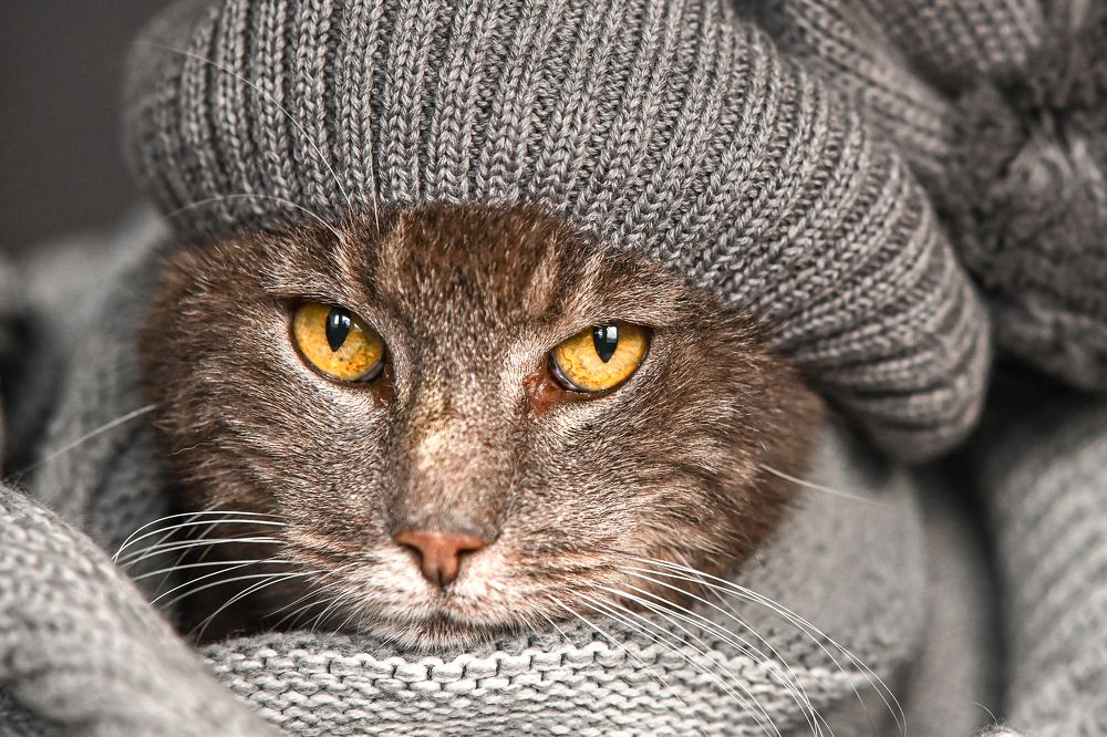 Photograph by Ольга Кудина