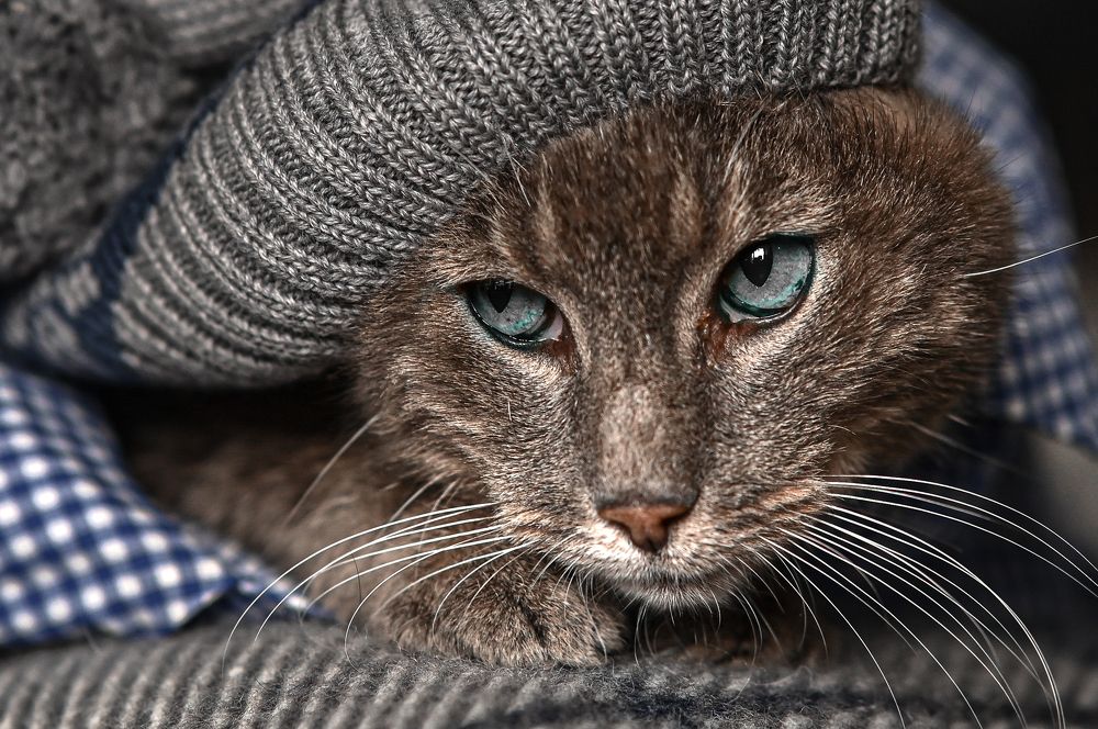 Photograph by Ольга Кудина