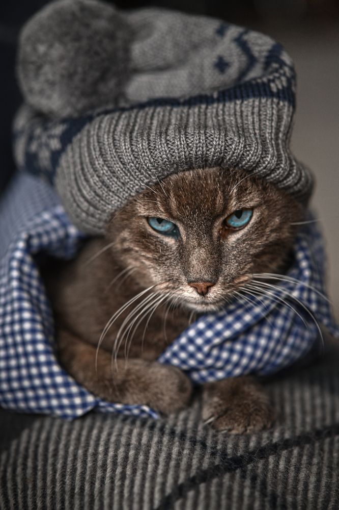 Photograph by Ольга Кудина