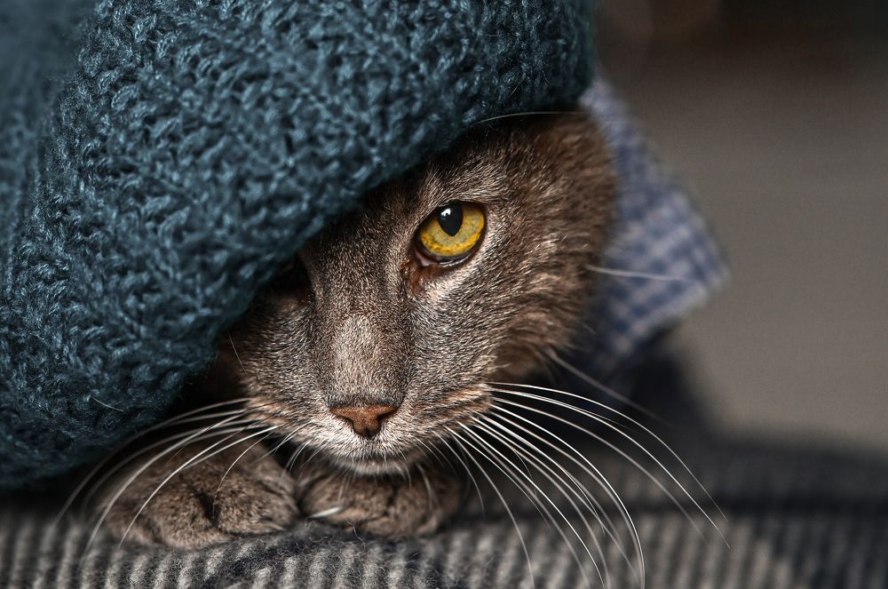 Photograph by Ольга Кудина