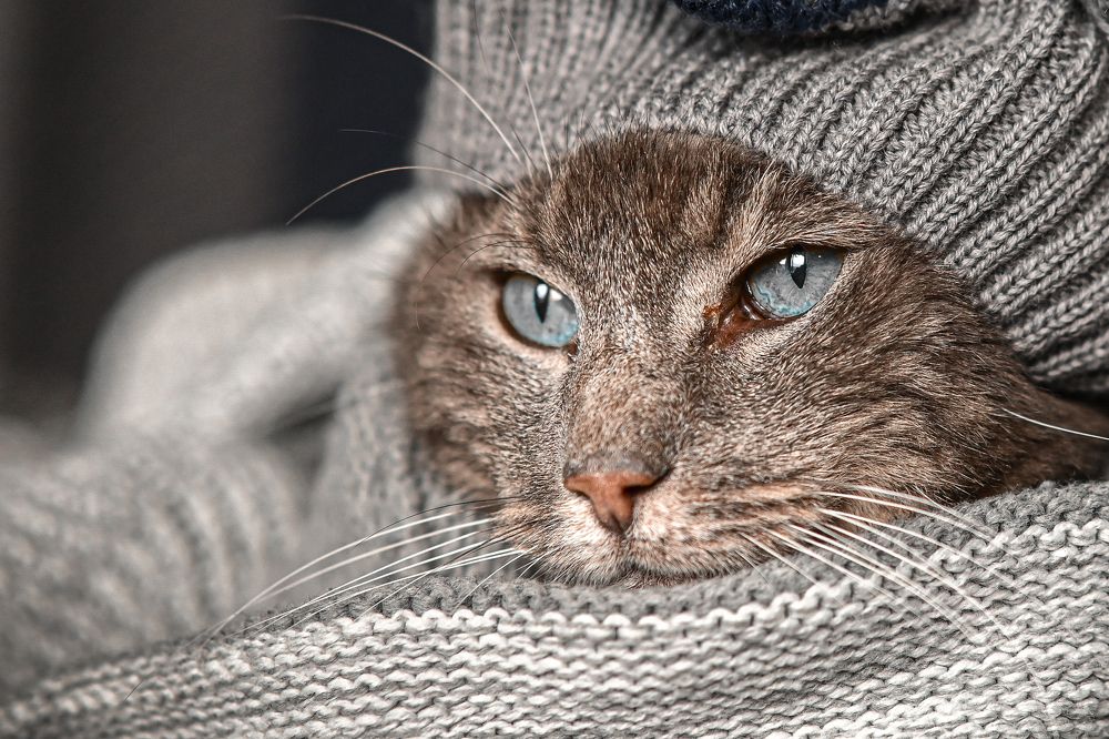 Photograph by Ольга Кудина