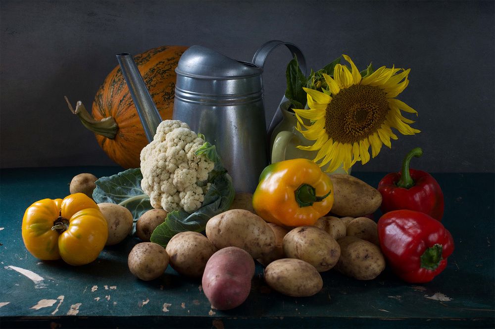 Photograph by Svitlana Andrieianova