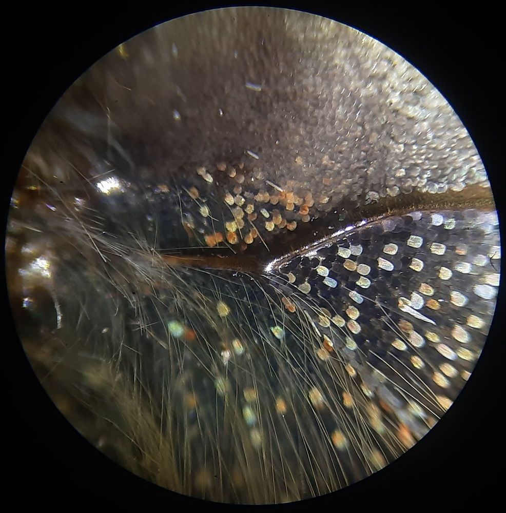 Photograph by Карина Плахова