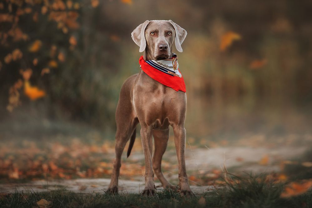 Photograph by Дарья Ералева