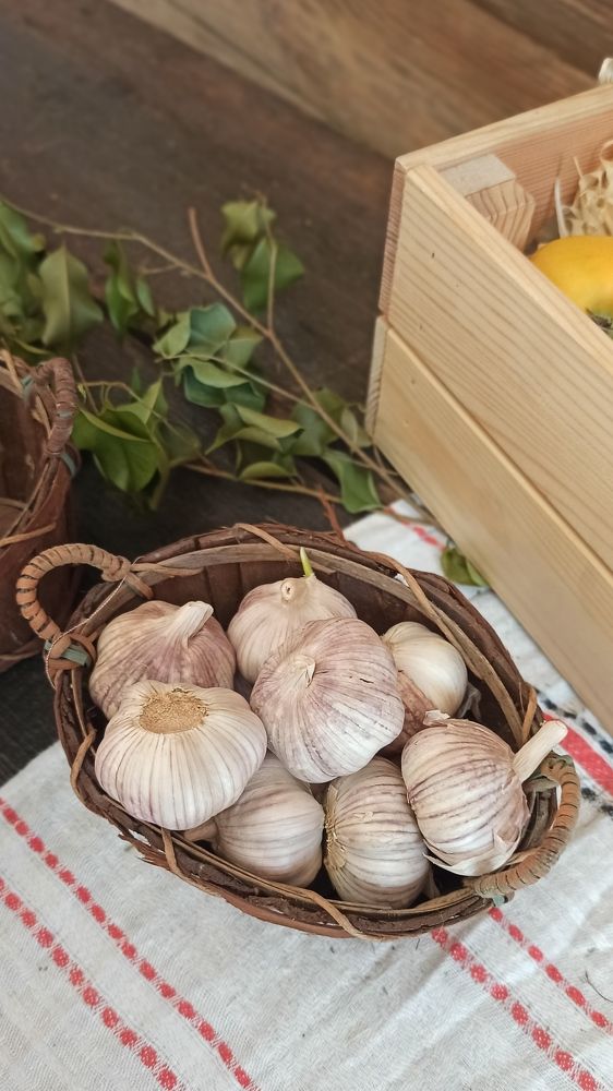 Photograph by Людмила Щуцкая